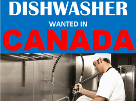 Dishwasher Jobs Archives Job Careers